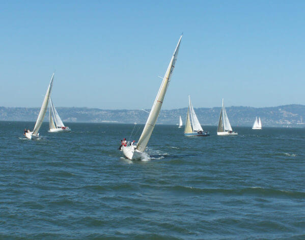 Sailboats in San Francisco Bay