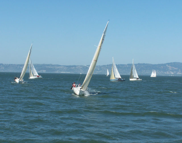 Sailboats in San Francisco Bay