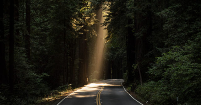 Light on the road ahead
